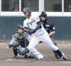 【阪神】具志川から参加の西純矢が紅白戦で快音「秋は全然バットが振れなかった」野手転向「応援がすごくありがたい」