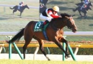 【ダイヤモンドＳ・レースメモ】ルメール騎手１８年フェイムゲーム以来通算３勝目