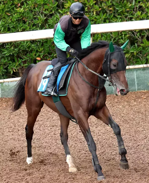 【注目馬動向】２年９か月ぶりＶのサヴォーナは七夕賞へ　阪神大賞典９着のファミリータイムは宝塚記念へ