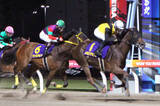 「【エンプレス杯】１番人気テンカジョウは最後に差されて２着　松山弘平騎手は勝ち馬に脱帽「思った以上にすごい脚で...」」の画像1