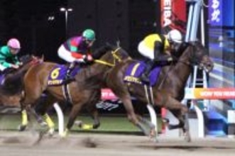 【エンプレス杯】１番人気テンカジョウは最後に差されて２着　松山弘平騎手との連覇＆ダートグレード５勝目ならず