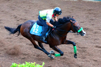 【関屋記念】力強い動き見せたエルトンバローズに杉山晴調教師も手応え　「夏のマイルのチャンピオンになれるように」