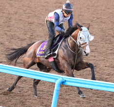 【新潟記念・１週前】さすがの伸び脚！３歳マイル王のロデオドライブに辻調教師「疲れを気にせず調教できている」
