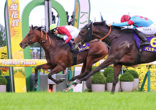 【菊花賞】ゴーイントゥスカイで武豊騎手単独最多６勝目！ロブチェン３冠阻止