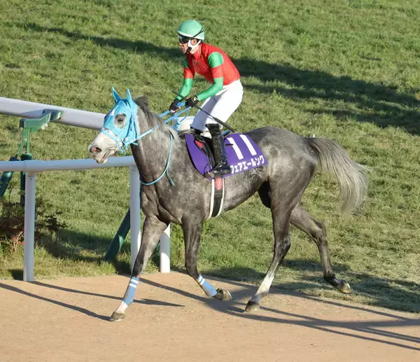 ２５年の小倉牝馬Ｓを制したフェアエールングが抹消　今後は北海道新冠町のビッグレッドファームで繁殖入りへ