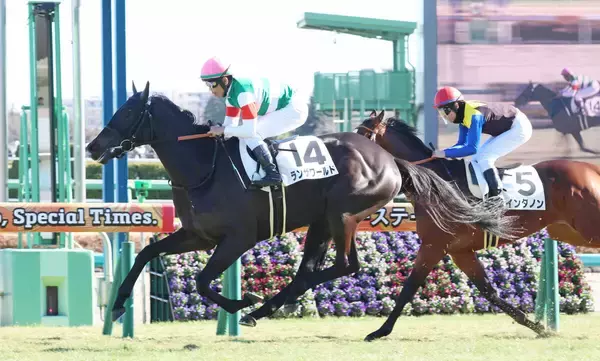 馬名登録４日でデビュー！「不明不明って」「全てが謎」「空欄のまま」やきもきしていたファンは安堵　インタノン２着