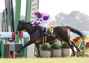 【京都１０Ｒ・紅梅Ｓ】桜花賞へ新星　リリージョワ無傷３連勝　４馬身差完勝にルメール騎手「強かった」