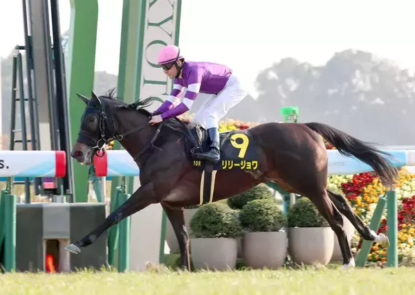 【京都１０Ｒ・紅梅Ｓ】桜花賞へ新星　リリージョワ無傷３連勝　４馬身差完勝にルメール騎手「強かった」