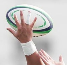 ラグビーＷ杯　日本の１次リーグはサモア→フランス→米国…日程発表