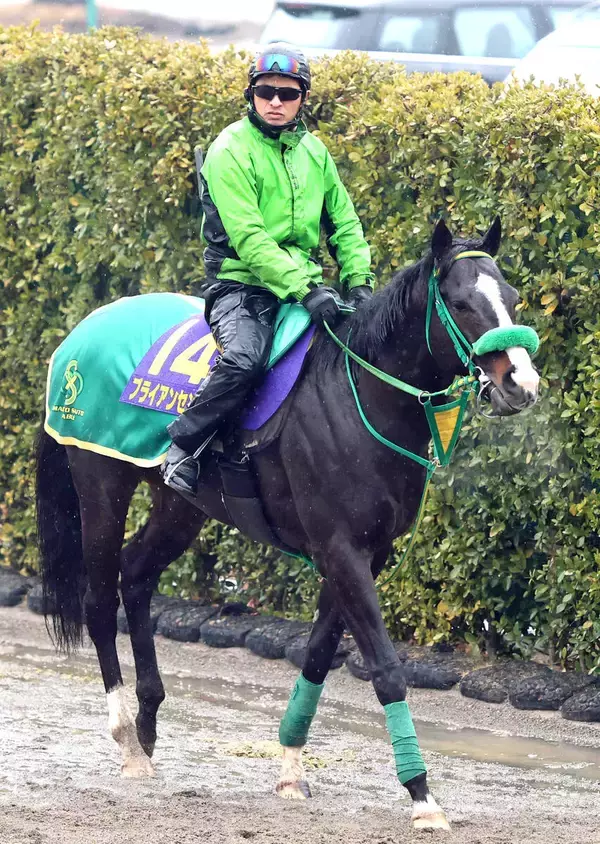【フェブラリーＳ】父が届かなかったタイトルへ　ブライアンセンス１５戦ぶりの東京も陣営「今なら左回りの方が」