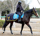 「【中山記念】２５年京成杯で大波乱演出のニシノエージェント　叩き２戦目、距離短縮でガラリ一変を狙う」の画像1