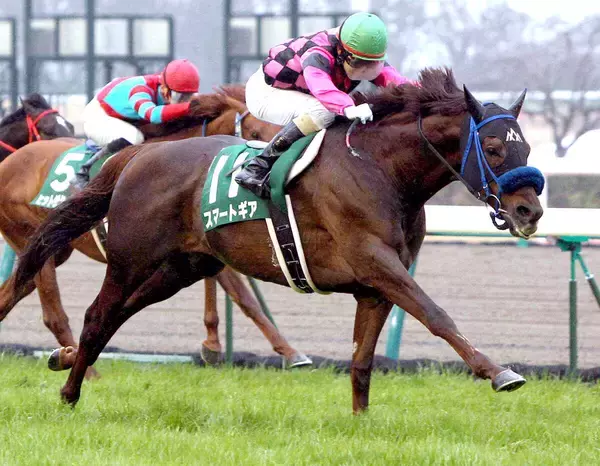 鋭い末脚で愛されたスマートギアが２１歳で死す　１２年の中日新聞杯でＶ　松山弘平騎手の重賞初勝利　障害レースでも白星