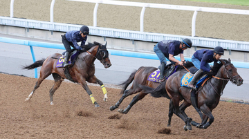 【安田記念・１週前】レーベンスティールが馬なりでラスト１０秒９　状態の良さ感じる動きに田中博調教師「いい調整ができている」