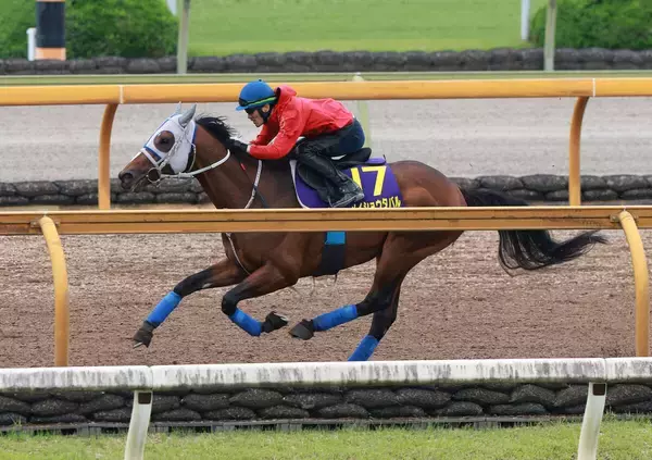【宝塚記念・１週前】「あとはスーパースターに任すだけ」メイショウタバルは力強い伸び脚　石橋調教師は武豊騎手に期待