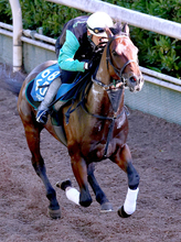 【しらさぎＳ】初代王者キープカルムは抜群の瞬発力　中竹調教師「いつも通り、ダイナミック」