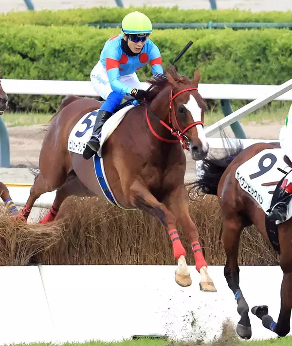 「泣きそうです」助手から障害専門ジョッキー転身の坂口智康騎手　全面サポートの浅利師と待望のコンビ初Ｖ　