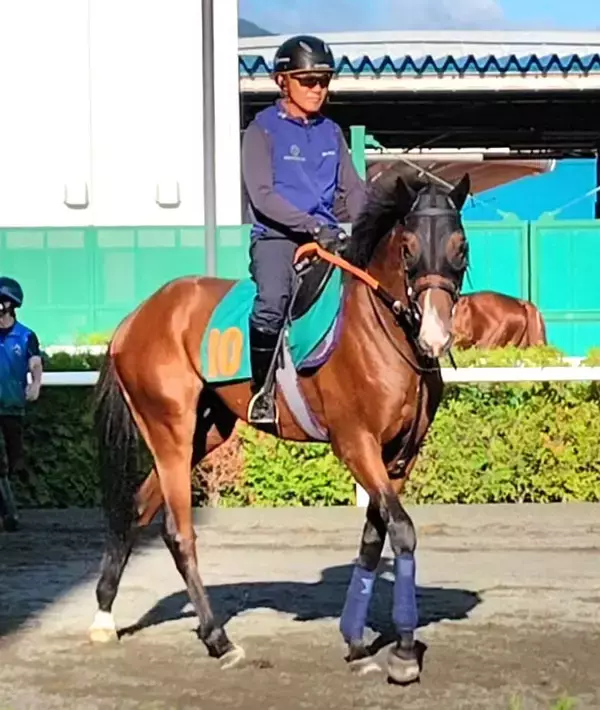 【注目馬動向】札幌で初勝利を挙げたデザートスピリットは横山和生騎手で札幌２歳Ｓへ　平岩厩舎はＪＲＡ重賞初挑戦