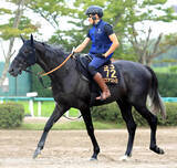 「【新潟記念】Ｇ１馬５頭出走もシビアなファン目線が前日オッズに反映　１、２番人気は意外にも…」の画像1