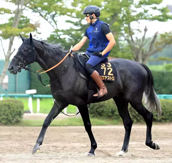 【新潟記念】Ｇ１馬５頭出走もシビアなファン目線が前日オッズに反映　１、２番人気は意外にも…