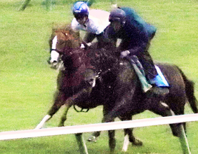 【札幌２歳Ｓ】好調のエフフォーリア産駒・ノヴァヴェローチェが素質の片りん見せる　重馬場でもスムーズに加速