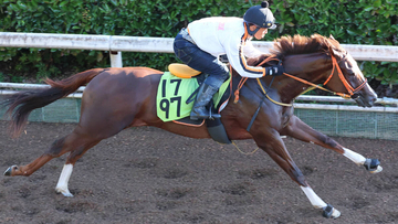 【ＰＯＧ談義】どうしよう...Ｇ１・２勝馬と「能力の高さ」が共通点の妹と年度代表馬に「一番似ている」娘がいきなり激突　