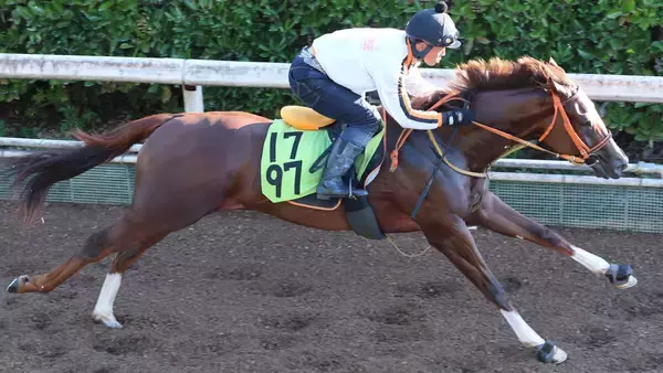 【ＰＯＧ談義】どうしよう...Ｇ１・２勝馬と「能力の高さ」が共通点の妹と年度代表馬に「一番似ている」娘がいきなり激突　