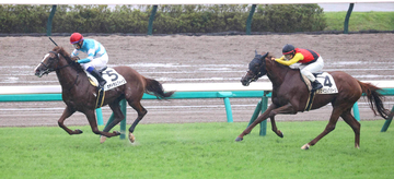 中山７Ｒが大波乱！馬単１８７万６６２０円はＪＲＡ史上最高の配当に　３連単の５２９４万８５２０円は史上２位