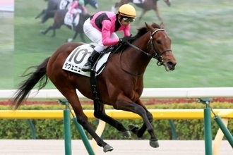 【京都７Ｒ】まさか…単勝１・４倍の大物候補ラヴェニューは４着　“超ハイレベル”共同通信杯以来の復帰戦を飾れず