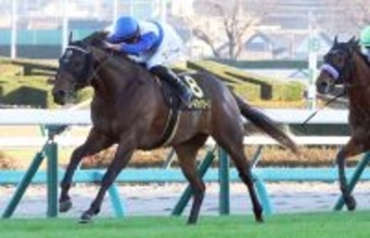 【中山１１Ｒ・ラピスラズリＳ】ロードフォアエースが３馬身差抜け出しオープン初勝利　マーカンド騎手「紳士的な馬」