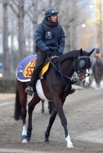 【小倉牝馬Ｓ】ダイワメジャー産駒ボンドガールが弔い星なるか　全１０場制覇かかる手塚久調教師「流れに乗った競馬を」