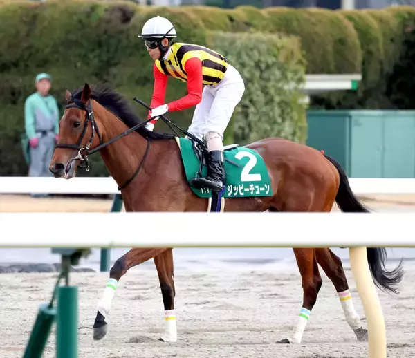 【クイーンＣ】１１番人気のジッピーチューン激走２着にも北村友一騎手「テンションは心配です」