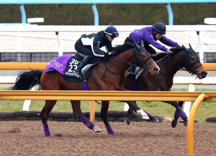 【報知杯弥生賞・１週前】ラスト１０秒９！アドマイヤクワッズ皐月賞権利取りへ鋭進　友道調教師「このひと追いで...」