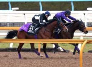 【報知杯弥生賞・１週前】ラスト１０秒９！アドマイヤクワッズ皐月賞権利取りへ鋭進　友道調教師「このひと追いで...」