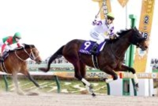 引退、種牡馬入りするペプチドナイルに武英智調教師がねぎらいの言葉「頑張ってくれました。雄大な馬が出てくるのでは」