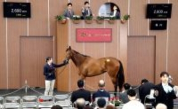 【ブリーズアップセール】牝馬の最高落札額は「トーセンナチュラルの２０２４」の２６００万円