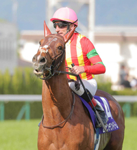 【注目馬動向】ビザンチンドリームが宝塚記念で再始動　クロワデュノール、ミュージアムマイルなど豪華メンバーの一戦