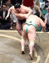 大関・琴桜が５連敗で７敗目　豪ノ山に敗れ、勝ち越しは崖っぷち