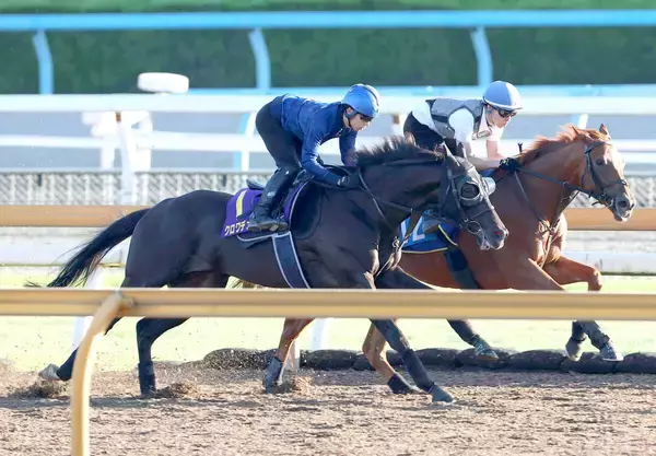 【宝塚記念・松ケ下が見た】１週前は「緩んじゃったかな」も…クロワデュノールが史上初の古馬Ｇ１春３冠へ「着実に良くなっています」