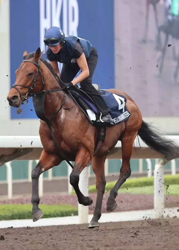 ザライオンインウィンターが調教中の骨折で安楽死　日本馬と何度も対決した名マイラー「どうか安らかに」「ショック」