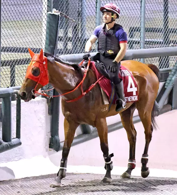 セントウルＳ出走予定の香港馬ファストネットワークが１２時間かけて日本到着　スプリンターズＳにも予備登録