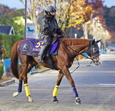 【ジャパンＣ】「池添騎手が『この前と全然違う』と」陣営は好感触　一発狙うサンライズアースが決戦の地へ　