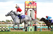 【有馬記念過去の名勝負】大外一気ぶち抜いた“芦毛の怪物”　今年は産駒が日高産による史上２度目の父子制覇目指す
