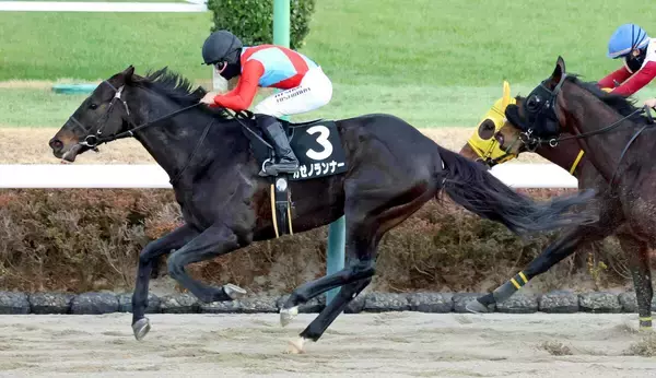 【中山１０Ｒ・ポルックスＳ】カゼノランナーがオープン初Ｖ　松永幹調教師「パサパサのダートは良かった」