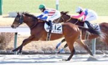 【中山３Ｒ・３歳新馬】サマーゲールが桁違いの末脚で差し切りデビュー勝ち　キング騎手２連勝「さらに良くなる」