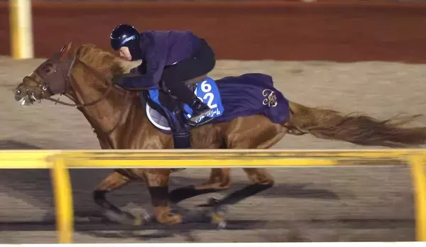 【アミールＴ】ビザンチンドリームは３つ目の海外タイトルへ万全の態勢　坂口調教師「ほぼ仕上がったと思います」