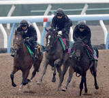 「【クイーンＣ】良血ドリームコアはしっかりと加速　萩原調教師「動きも良かったし反応も上々」」の画像1