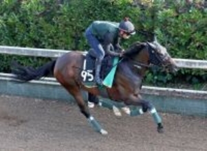 【小倉大賞典】前日オッズは三つどもえの様相　１番人気はエラトーとセンツブラッドが５・５倍で並ぶ