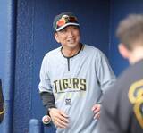 「【阪神】藤川球児監督が春季キャンプ総括…木下里都、石黒佑弥、嶋村麟士朗、浜田太貴ら超異例ＭＶＰ９人「正面からぶつかって」」の画像1