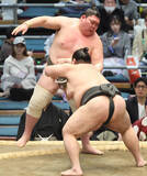 「矢後が黒星スタートも「３場所連続の３勝４敗の悪い流れを断ち切りたい」」の画像1