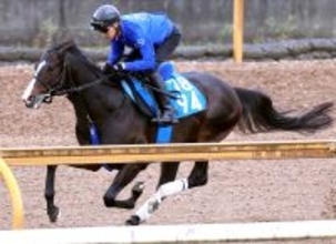 【アンタレスＳ】持ったまま加速ムルソー池江師「いい感じ」